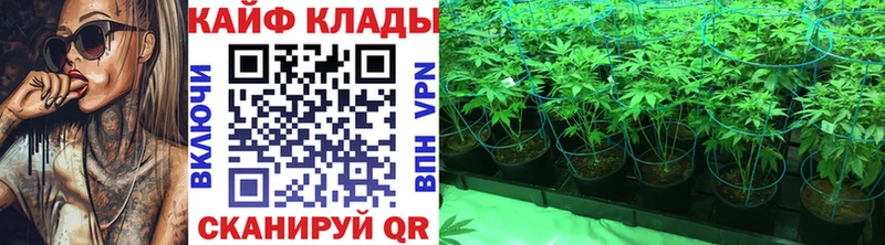 Магазин наркотиков Александров ГАШИШ  COCAIN  Alpha PVP  Галлюциногенные грибы  Меф мяу мяу 