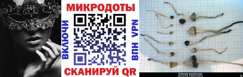 хочу   Александров  Псилоцибиновые грибы GOLDEN TEACHER 