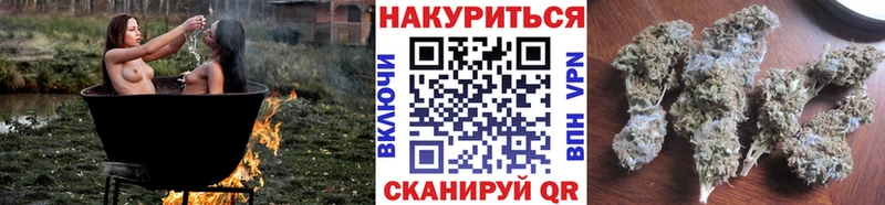 Конопля индика  Александров 